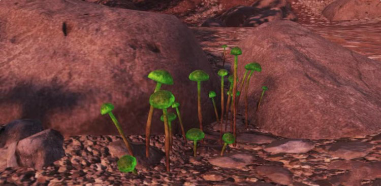 Fallout 76: Locations for Glowing Fungus